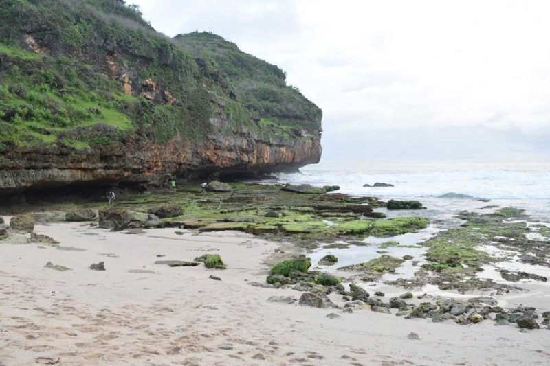 Lorem Ipsum Dolor Sit Amet 3