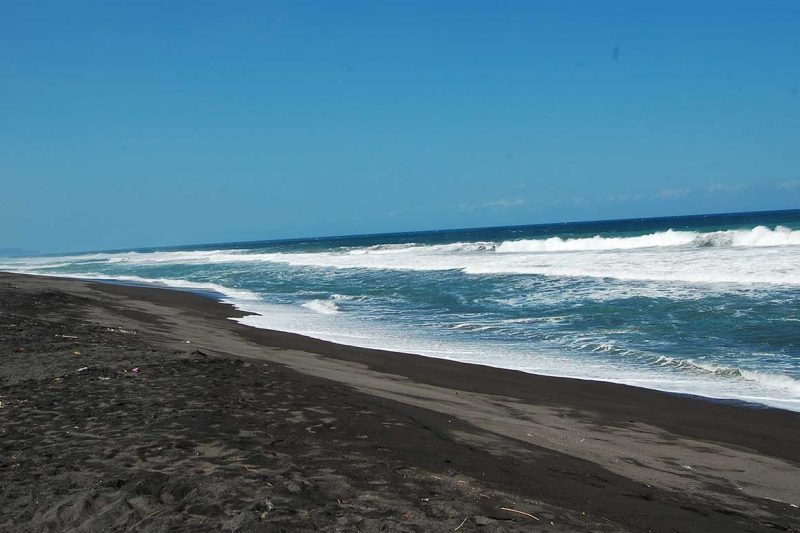 Raja Api Mendeklarasikan Perang Ketupat 2021 3