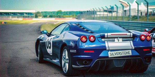 Donec quis luctus metus.