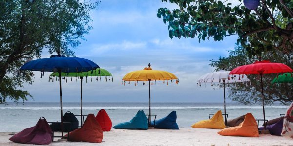 Praesent sit amet risus justo