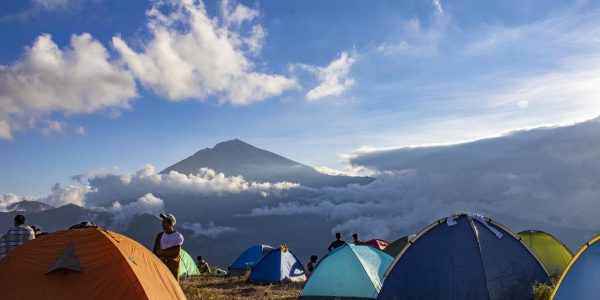 Nullam at sagittis purus imperdiet mollis lacus